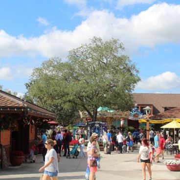 Florida with family: amusement parks, beaches and nature reserves