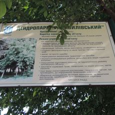 Дендропарк «Радивилівський»