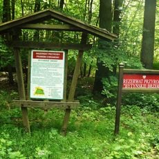 Nature reserve Bytyńskie Brzęki