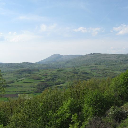 Bela Palanka Municipality