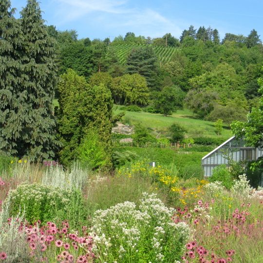 Botanischer Garten der Universität Würzburg