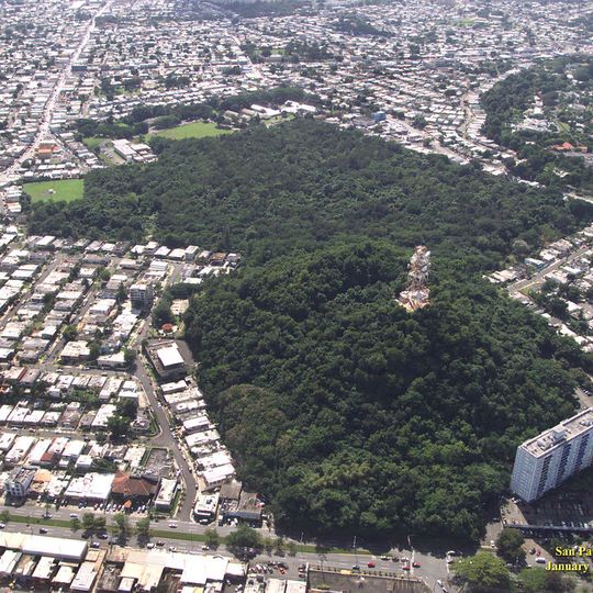 San Patricio State Forest