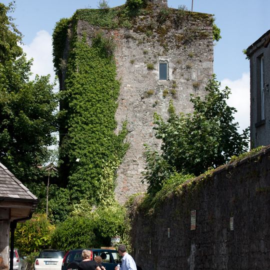 Kildare Castle