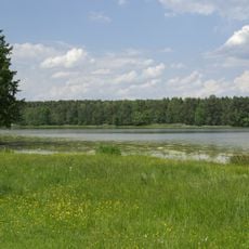 Markwald bei Baiersdorf