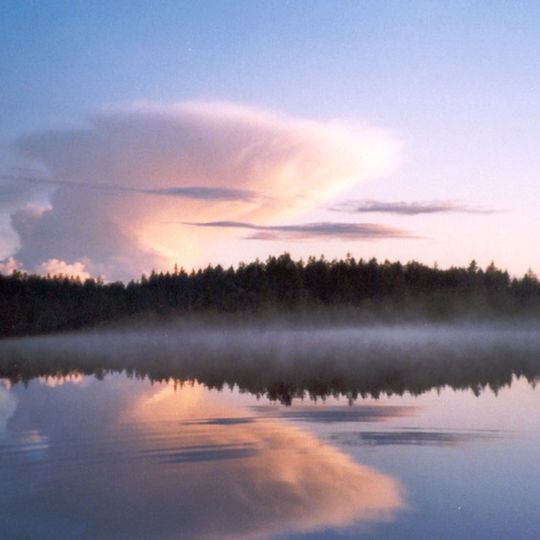 Suomenselkä