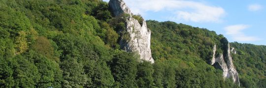 Sophie VdB Portada del perfil