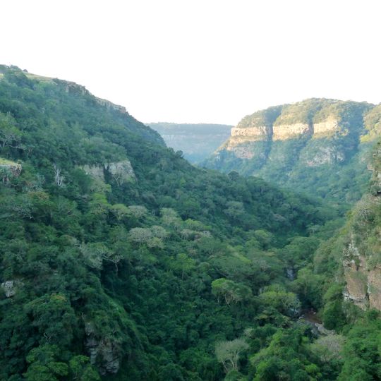 Krantzkloof Nature Reserve