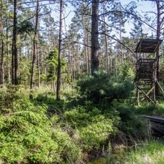 Ahlen-Falkenberger Moor, Seen bei Bederkesa
