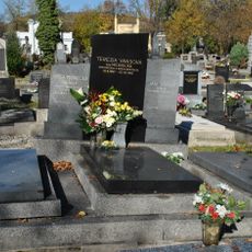 Cintorín ev. a. v. , hrob s náhrobníkom