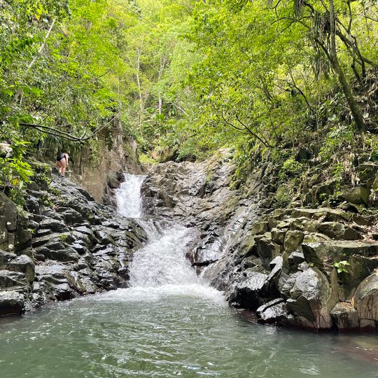 Toboggan Naturel Du Carbet