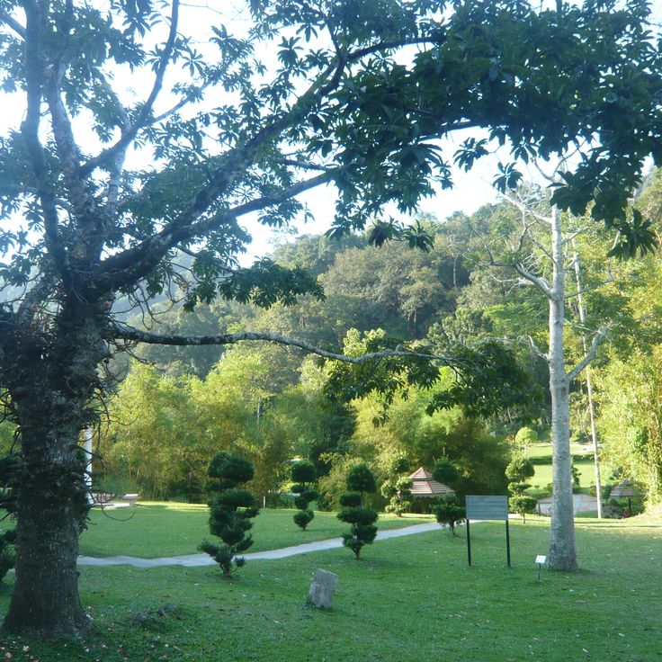 Penang botaniska trädgård