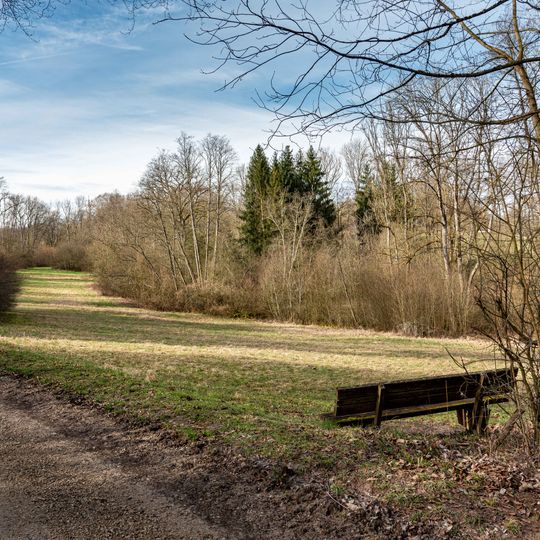 Gehölz im Gewann Rotwiesen