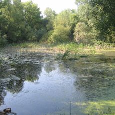 Potyondi-mocsár
