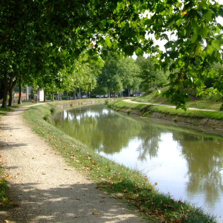 The Berry Canal