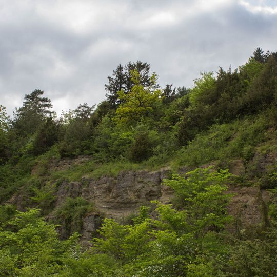 Weinberg bei Steinau