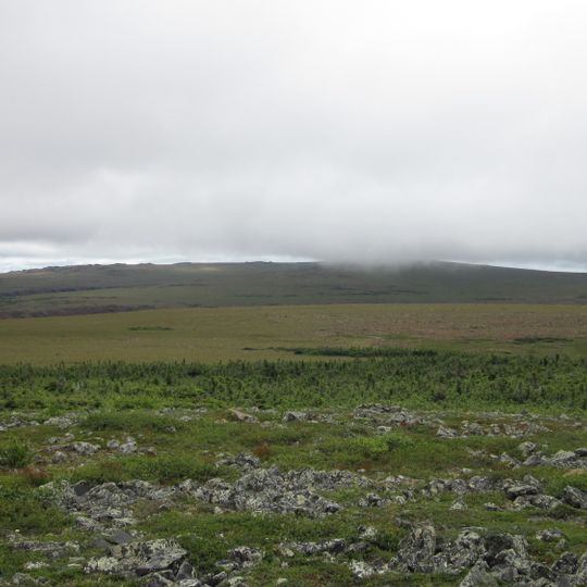 Habitat floristique de la Serpentine-du-Mont-Albert