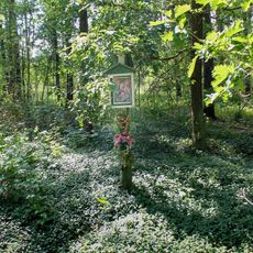 Obrázek u Ludéřova v lese poblíž hájenky