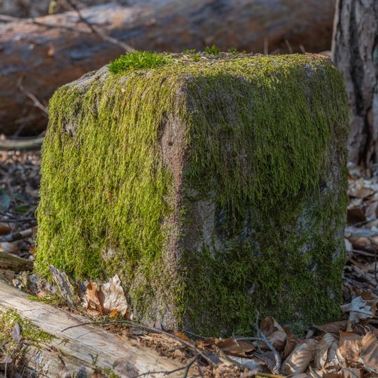 Grenzstein Untere Gemeinde in Fürth