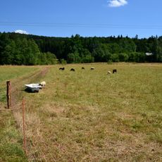 Besednické vltavíny