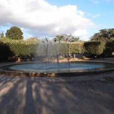 Un arbre, la forêt…..