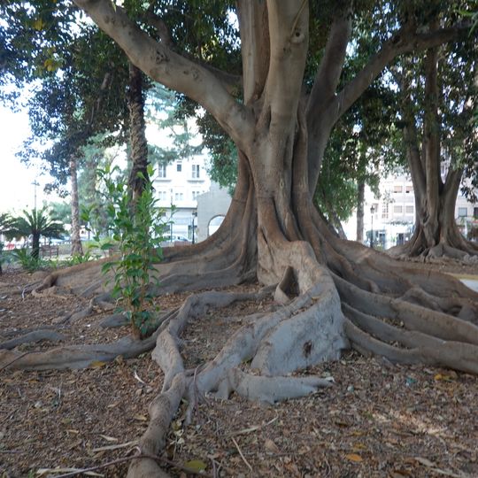 Jardín de Floridablanca