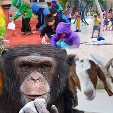 Riverside Park and Zoo