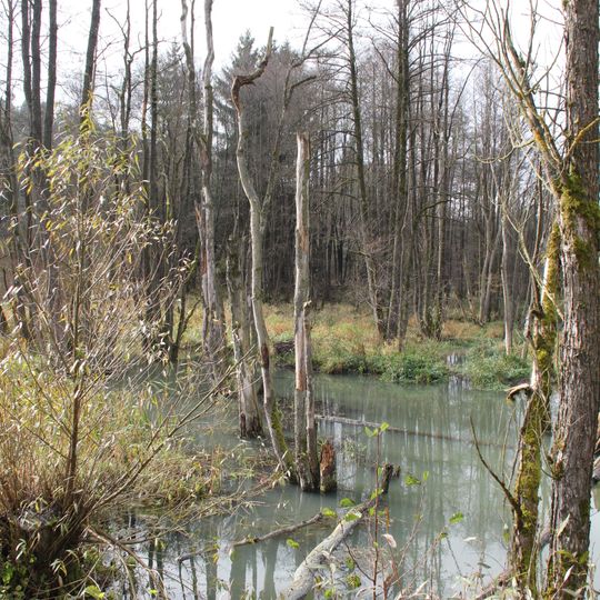 Weiße Laaber bei Waltersberg