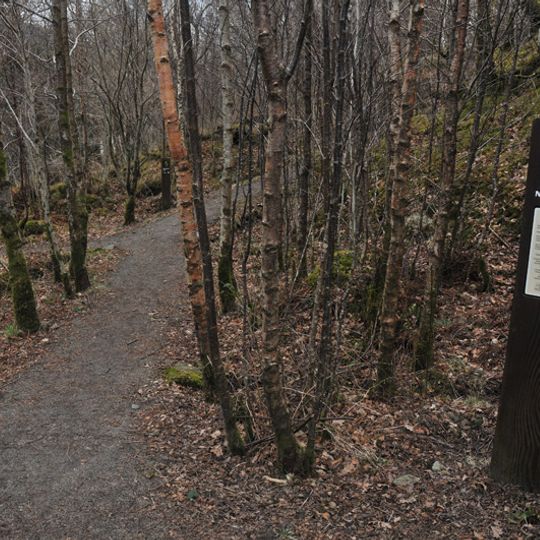 Glasdrum Wood National Nature Reserve
