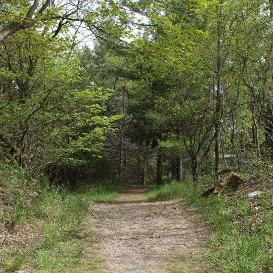 Preservation Park Loop