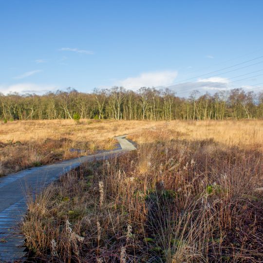 Danes Moss Nature Reserve