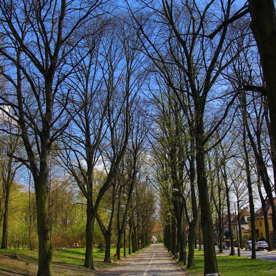 Avenue greenery complex in Gliwice