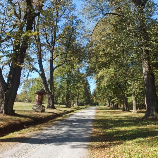 Alej na Uhlířský vrch