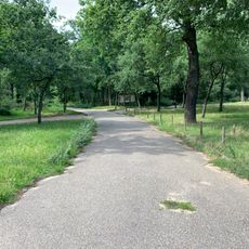 Chemin des Vieux-Chênes