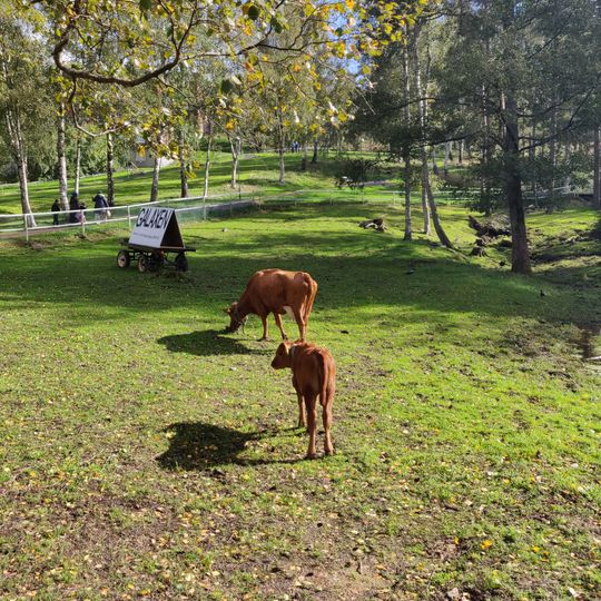 Galaxens stadslantgård