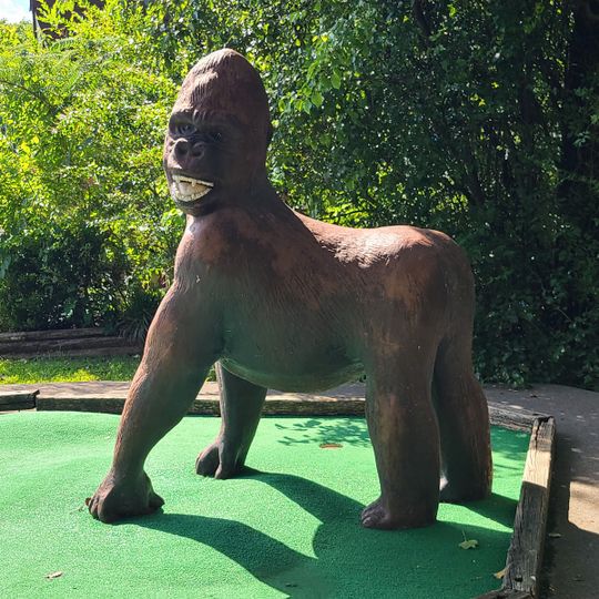 Sir Goony's Family Fun Center