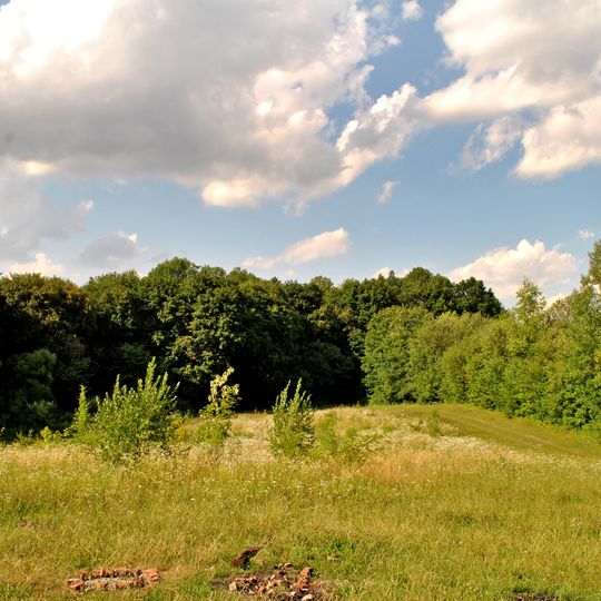 Shliakhtyntsi Botanical sanctuary
