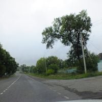 Osinovka, Mikhaylovsky District