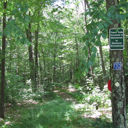 Spencer State Forest