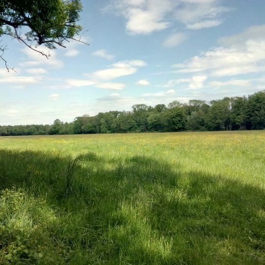 Bruchbach-Otterbachniederung