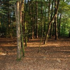 Mittelalterliche Wehranlage Forstjogl