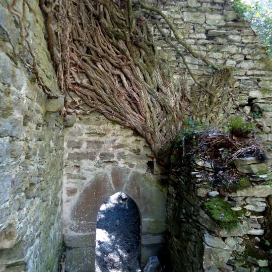 Botanical Garden of Santa Catalina