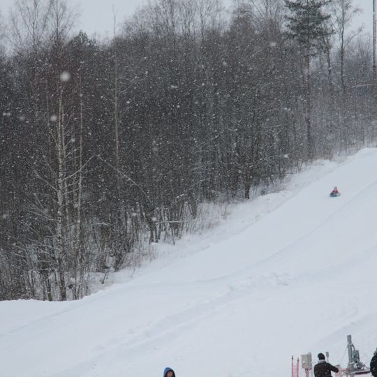 Bugrovskoye rural settlement