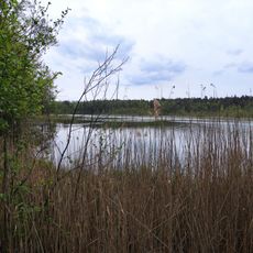 Rezerwat przyrody Smolnik