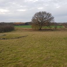 Vedsted dolmen