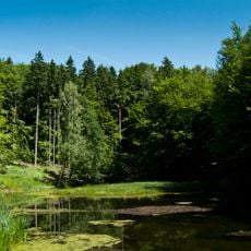 Jezírko pod Táborem