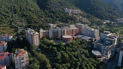 Aerial View 2