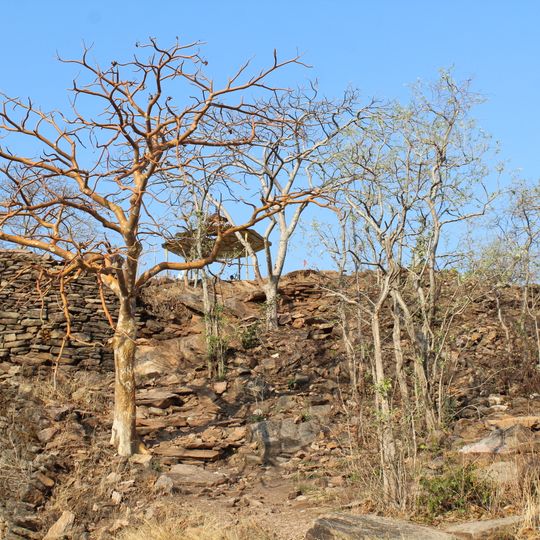 Bhiwagarh Fort