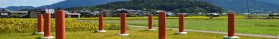 Panoramic View 0