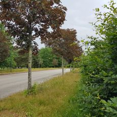 Landes de Lanvaux