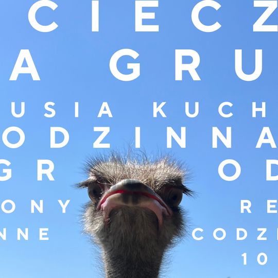 Farma Strusi w Kniewie